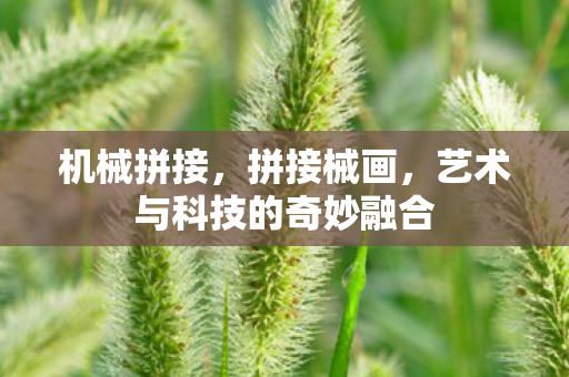机械拼接,拼接械画,艺术与科技的奇妙融合 机械拼接,拼接械画,艺术与科技的奇妙融合