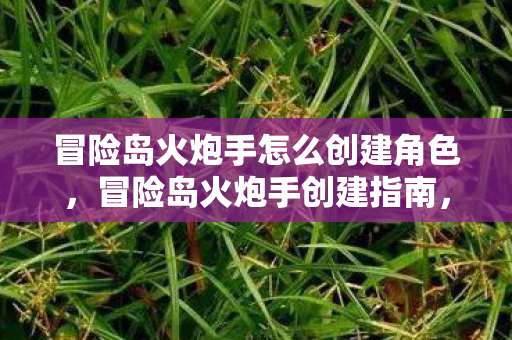 冒险岛火炮手怎么创建角色，冒险岛火炮手创建指南，打造你的专属炮火传奇