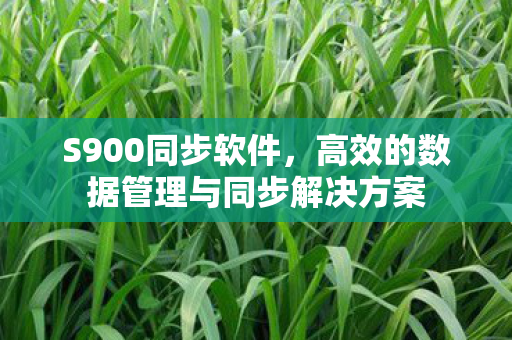 S900同步软件,高效的数据管理与同步解决方案 S900同步软件,高效的数据管理与同步解决方案