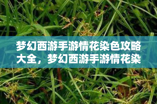 梦幻西游手游情花染色攻略大全,梦幻西游手游情花染色攻略 梦幻西游手游情花染色攻略大全,梦幻西游手游情花染色攻略