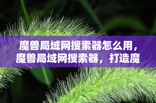 魔兽局域网搜索器怎么用，魔兽局域网搜索器，打造魔兽世界的局域网对战新体验