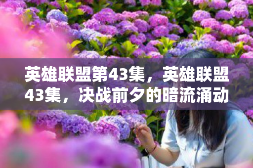 英雄联盟第43集，英雄联盟43集，决战前夕的暗流涌动
