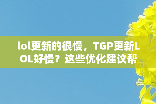 lol更新的很慢，TGP更新LOL好慢？这些优化建议帮你提速！