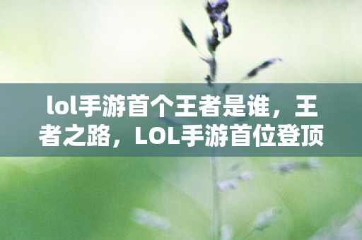 lol手游首个王者是谁,王者之路,LOL手游首位登顶者的传奇故事 lol手游首个王者是谁,王者之路,LOL手游首位登顶者的传奇故事