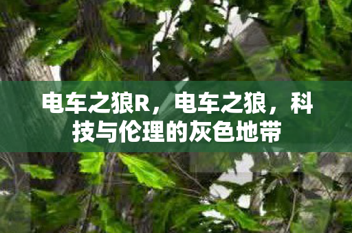 电车之狼R,电车之狼,科技与伦理的灰色地带 电车之狼R,电车之狼,科技与伦理的灰色地带