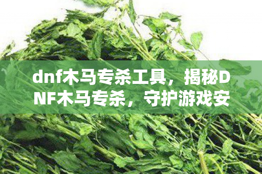 dnf木马专杀工具,揭秘DNF木马专杀,守护游戏安全的秘密武器 dnf木马专杀工具,揭秘DNF木马专杀,守护游戏安全的秘密武器