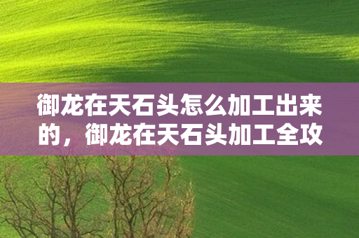 御龙在天石头怎么加工出来的,御龙在天石头加工全攻略,打造顶级装备,提升战力! 御龙在天石头怎么加工出来的,御龙在天石头加工全攻略,打造顶级装备,提升战力!