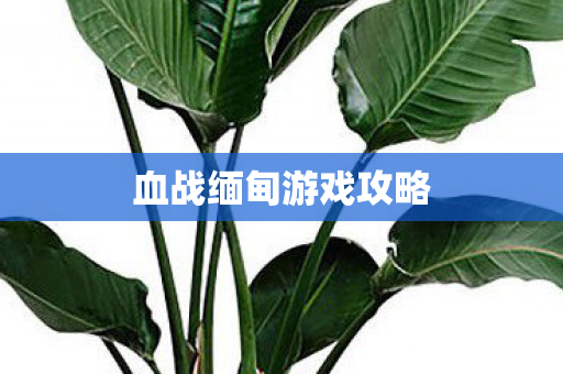 血战缅甸游戏攻略