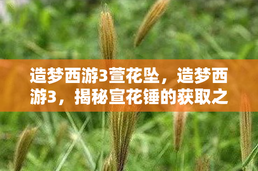 造梦西游3萱花坠,造梦西游3,揭秘宣花锤的获取之道 造梦西游3萱花坠,造梦西游3,揭秘宣花锤的获取之道