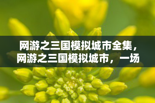 网游之三国模拟城市全集,网游之三国模拟城市,一场跨越时空的策略盛宴 网游之三国模拟城市全集,网游之三国模拟城市,一场跨越时空的策略盛宴