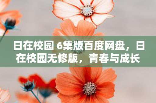 日在校园 6集版百度网盘，日在校园无修版，青春与成长的真实写照