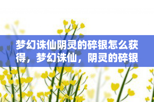 梦幻诛仙阴灵的碎银怎么获得,梦幻诛仙,阴灵的碎银 梦幻诛仙阴灵的碎银怎么获得,梦幻诛仙,阴灵的碎银