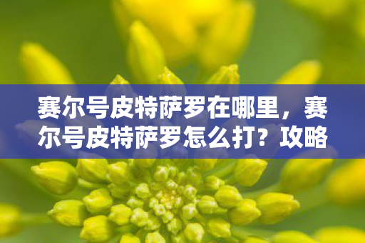赛尔号皮特萨罗在哪里,赛尔号皮特萨罗怎么打?攻略详解 赛尔号皮特萨罗在哪里,赛尔号皮特萨罗怎么打?攻略详解