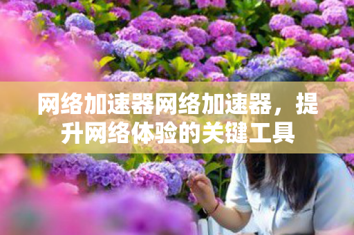 网络加速器网络加速器,提升网络体验的关键工具 网络加速器网络加速器,提升网络体验的关键工具