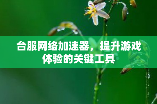 台服网络加速器,提升游戏体验的关键工具 台服网络加速器,提升游戏体验的关键工具