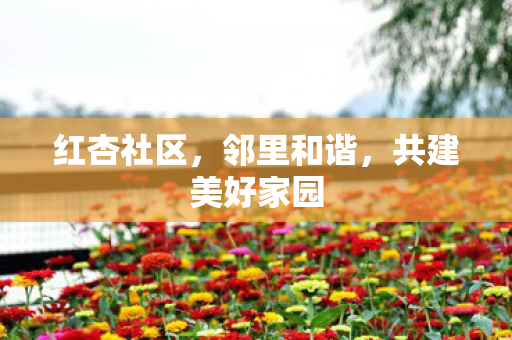 红杏社区,邻里和谐,共建美好家园 红杏社区,邻里和谐,共建美好家园