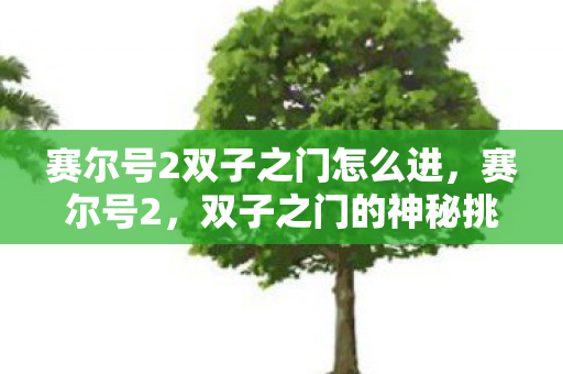 赛尔号2双子之门怎么进，赛尔号2，双子之门的神秘挑战