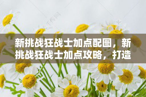 新挑战狂战士加点配图，新挑战狂战士加点攻略，打造无敌战斗力的关键