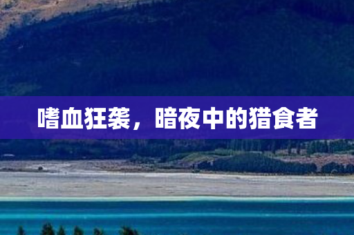 嗜血狂袭，暗夜中的猎食者