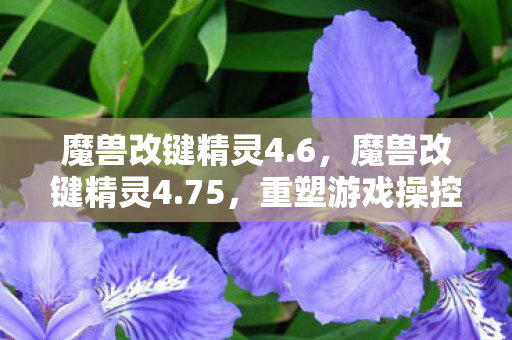 魔兽改键精灵4.6,魔兽改键精灵4.75,重塑游戏操控的利器 魔兽改键精灵4.6,魔兽改键精灵4.75,重塑游戏操控的利器