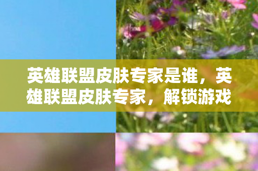 英雄联盟皮肤专家是谁，英雄联盟皮肤专家，解锁游戏世界的秘密