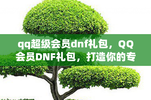 qq超级会员dnf礼包，QQ会员DNF礼包，打造你的专属游戏王国