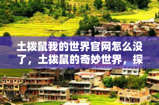 土拨鼠我的世界官网怎么没了，土拨鼠的奇妙世界，探索自然与生活的和谐共存