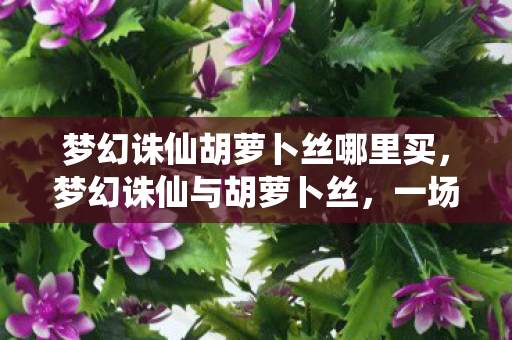 梦幻诛仙胡萝卜丝哪里买，梦幻诛仙与胡萝卜丝，一场意外的美食奇缘