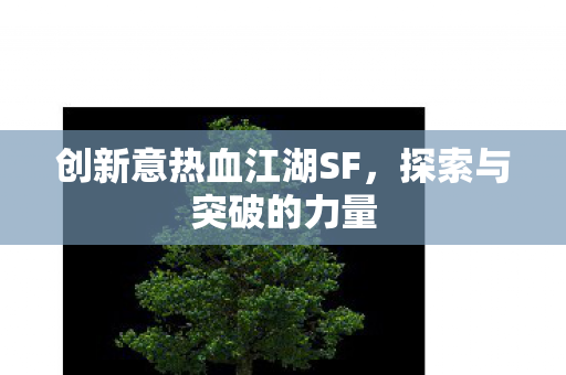 创新意热血江湖SF,探索与突破的力量 创新意热血江湖SF,探索与突破的力量