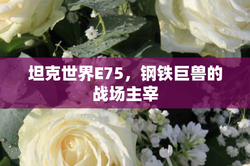 坦克世界E75，钢铁巨兽的战场主宰