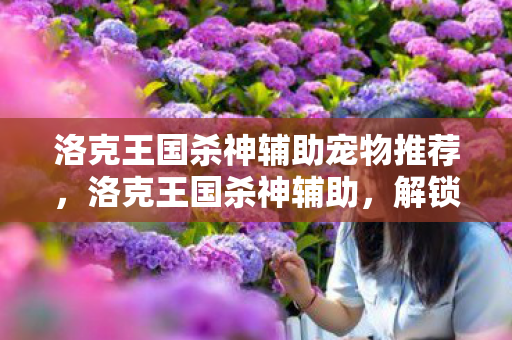 洛克王国杀神辅助宠物推荐,洛克王国杀神辅助,解锁游戏新境界的利器 洛克王国杀神辅助宠物推荐,洛克王国杀神辅助,解锁游戏新境界的利器