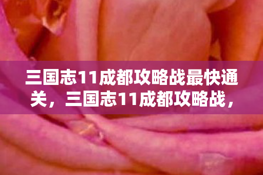 三国志11成都攻略战最快通关，三国志11成都攻略战，蜀汉霸业的转折点