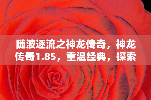 随波逐流之神龙传奇，神龙传奇1.85，重温经典，探索未知