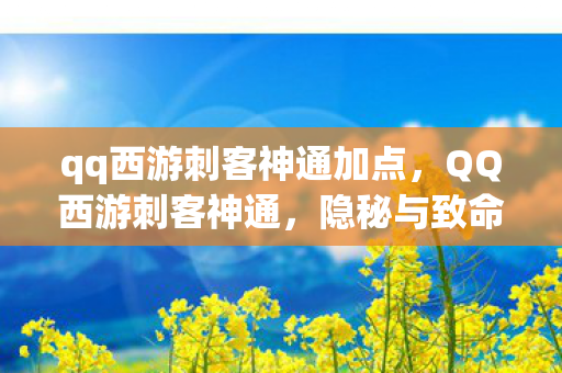 qq西游刺客神通加点,QQ西游刺客神通,隐秘与致命的艺术 qq西游刺客神通加点,QQ西游刺客神通,隐秘与致命的艺术