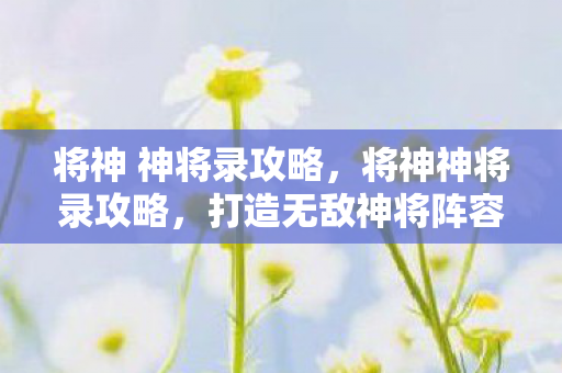将神 神将录攻略，将神神将录攻略，打造无敌神将阵容
