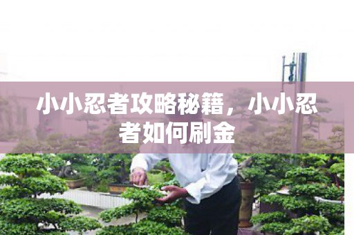 小小忍者攻略秘籍，小小忍者如何刷金