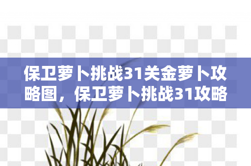 保卫萝卜挑战31关金萝卜攻略图,保卫萝卜挑战31攻略,金萝卜布阵图详解 保卫萝卜挑战31关金萝卜攻略图,保卫萝卜挑战31攻略,金萝卜布阵图详解