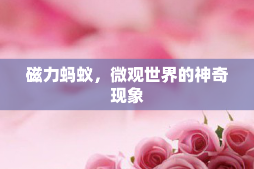 磁力蚂蚁,微观世界的神奇现象 磁力蚂蚁,微观世界的神奇现象