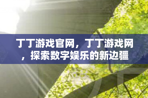丁丁游戏官网，丁丁游戏网，探索数字娱乐的新边疆