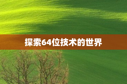 探索64位技术的世界 探索64位技术的世界