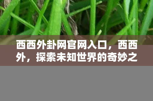 西西外卦网官网入口，西西外，探索未知世界的奇妙之旅