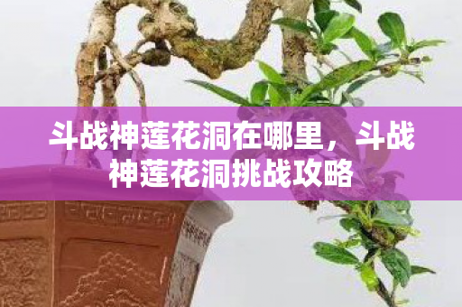 斗战神莲花洞在哪里，斗战神莲花洞挑战攻略