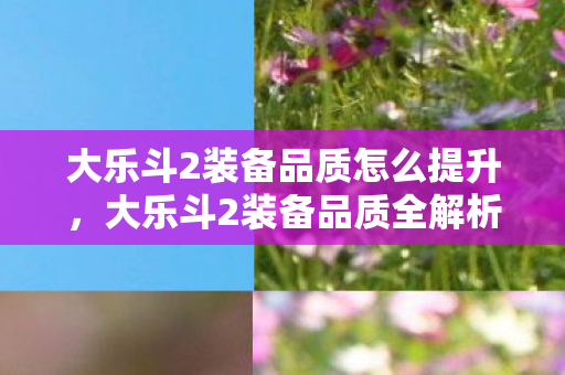 大乐斗2装备品质怎么提升，大乐斗2装备品质全解析，打造无敌战斗力的关键