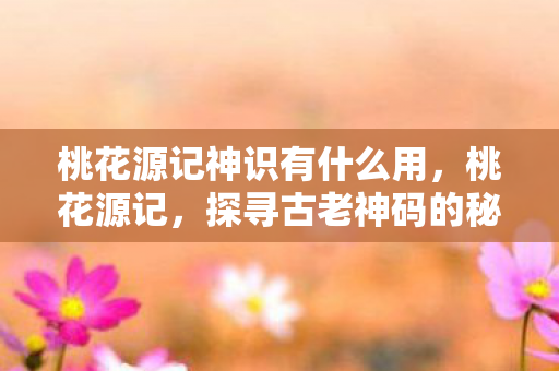 桃花源记神识有什么用，桃花源记，探寻古老神码的秘密