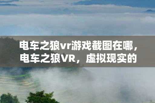 电车之狼vr游戏截图在哪，电车之狼VR，虚拟现实的惊悚冒险
