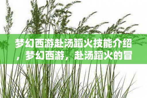梦幻西游赴汤蹈火技能介绍，梦幻西游，赴汤蹈火的冒险之旅