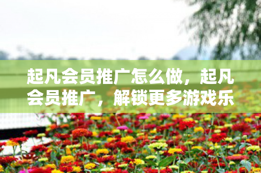起凡会员推广怎么做，起凡会员推广，解锁更多游戏乐趣，享受专属特权
