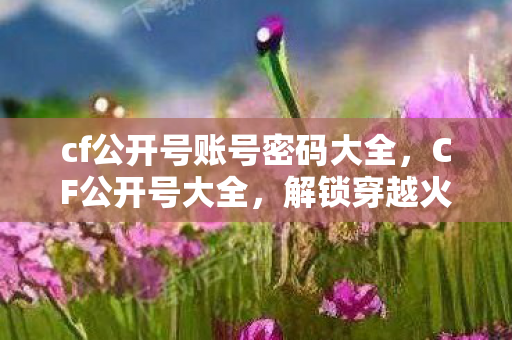 cf公开号账号密码大全，CF公开号大全，解锁穿越火线的无限可能