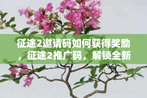征途2邀请码如何获得奖励,征途2推广码,解锁全新游戏体验,赢在起点! 征途2邀请码如何获得奖励,征途2推广码,解锁全新游戏体验,赢在起点!