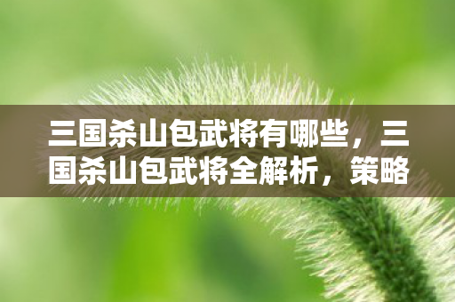 三国杀山包武将有哪些，三国杀山包武将全解析，策略与技巧的碰撞